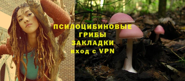 трава Алзамай