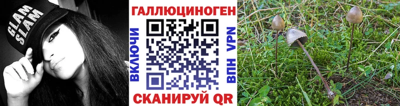 хочу наркоту Яровое Галлюциногенные грибы GOLDEN TEACHER